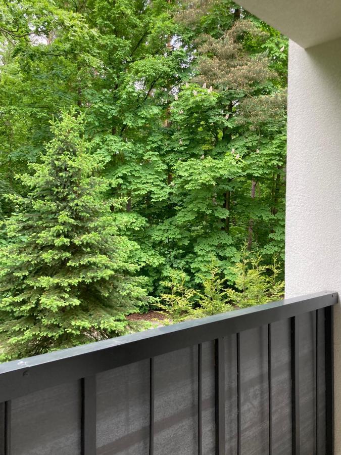 Apartament 221 Przy Niedzwiadku Polanica-Zdrój Extérieur photo